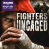 Hra Fighters Uncaged pro XBOX 360 X360 konzole