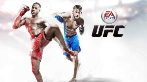 Hra UFC: Ultimate Fighting Championship pro PS4 Playstation 4 konzole