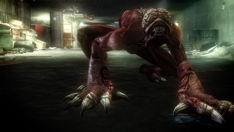 Resident Evil: Operation Raccoon City pro Xbox 360 — horor